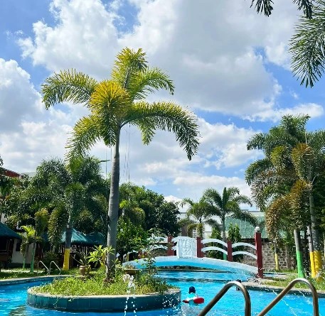 The pool with a fountain island, a white bridge and palm trees