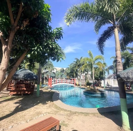 Swimming pool with a red bridge and palm trees at HANA Academy
