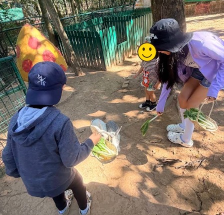 Children feeding rabbits with vegetables on a weekend outing